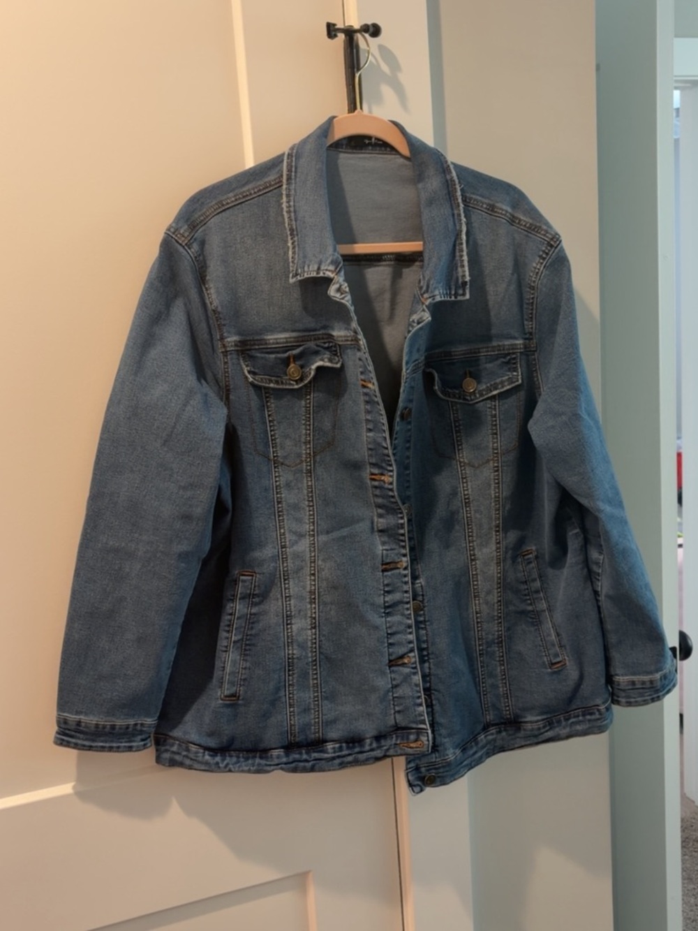 Agnes Orinda Blue Denim Jacket